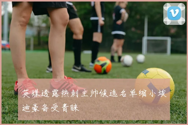 英媒透露热刺主帅候选名单缩小埃迪豪备受青睐