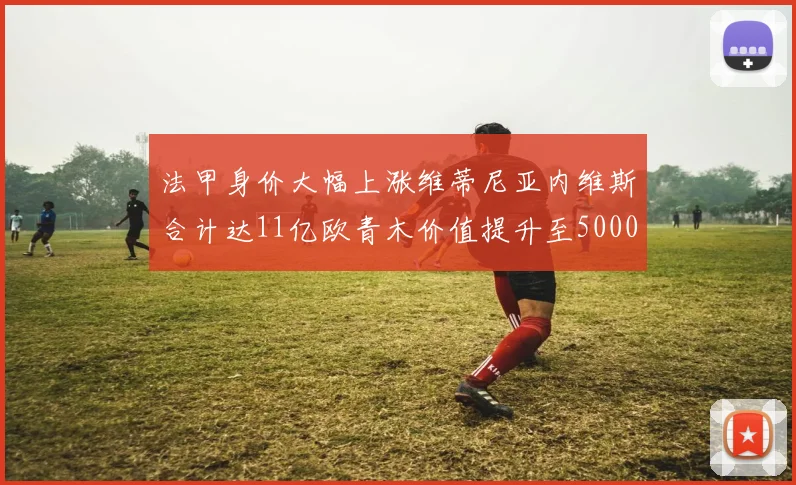 法甲身价大幅上涨维蒂尼亚内维斯合计达11亿欧青木价值提升至5000万